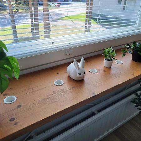 Central Studio - Easy Check-In, Free Parking & Wifi Rovaniemi Exterior foto