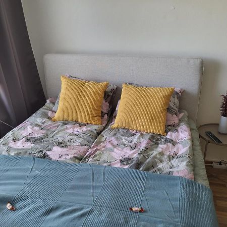 Central Studio - Easy Check-In, Free Parking & Wifi Rovaniemi Exterior foto